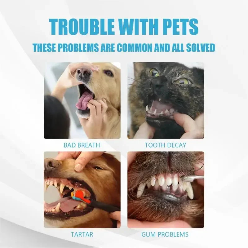 Pet Toothpaste