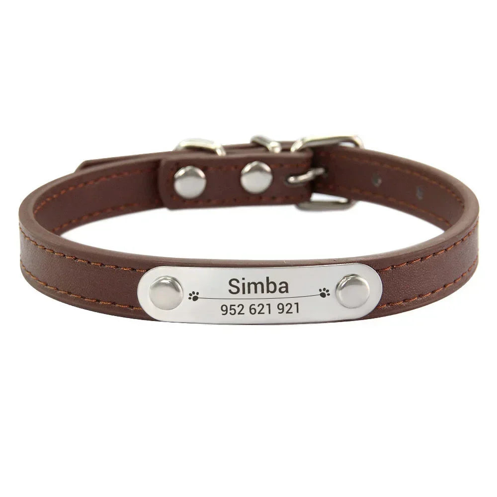 Personalized Dog Collar