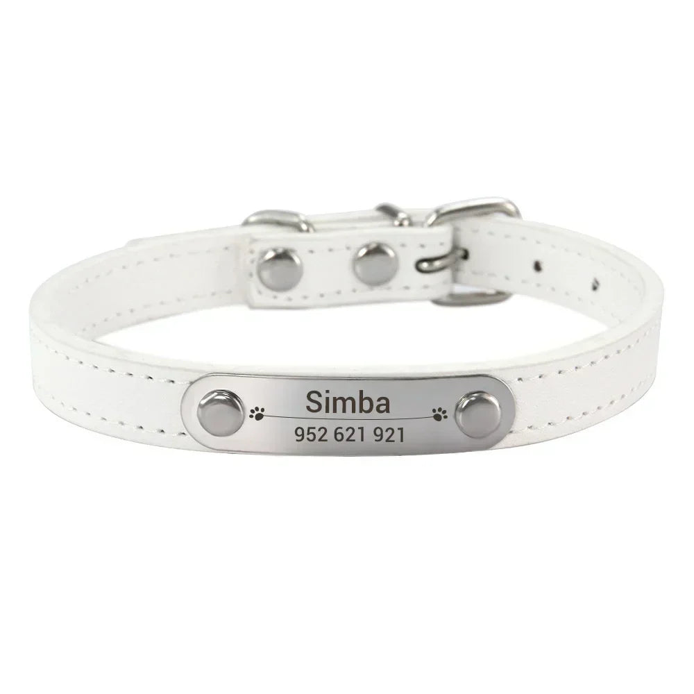 Personalized Dog Collar